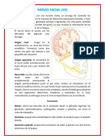 Par craneal VII