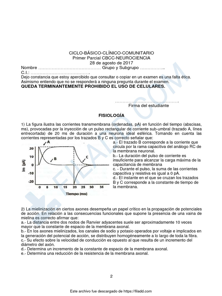 Examen de Neurociencia: Primer Parcial CBCC | PDF | Sinapsis ...