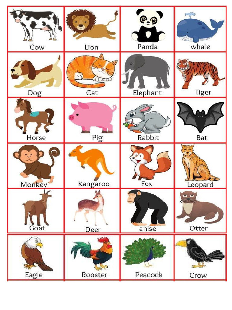 Diff Animals PNG | PDF
