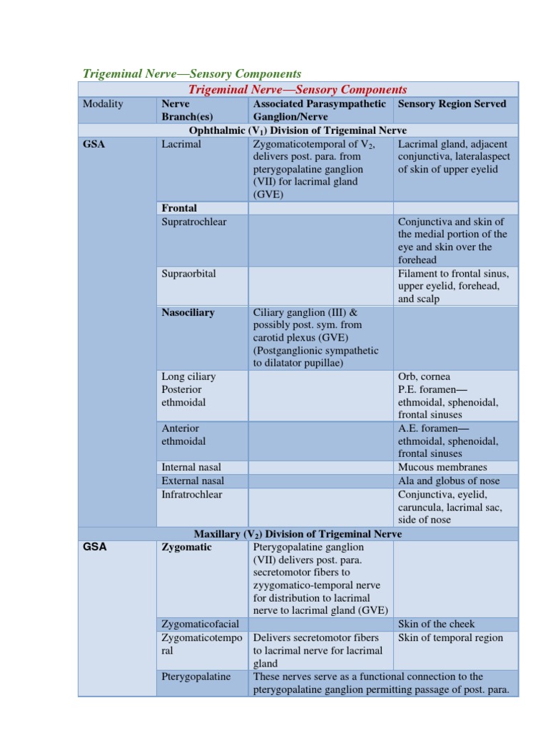 Trigeminal Nerve-Sensory Components | PDF | Human Nose | Human Head And ...