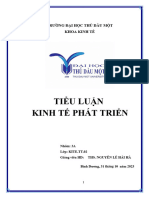 Nhóm 3A - Tiểu Luận Cuối Kỳ KTPT