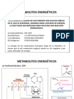 Metabolitos Energéticos