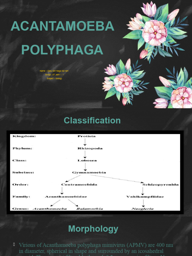 Acanthamoeba Polyphaga | PDF | Clinical Medicine | Diseases And Disorders
