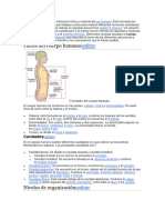 Partes Del Cuerpo Humano: Editar