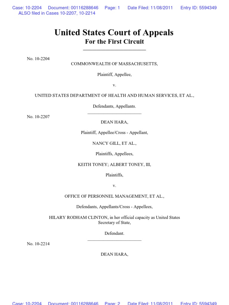 First Circuit Court Order on Amicus Brief | PDF | Amicus Curiae | Brief ...