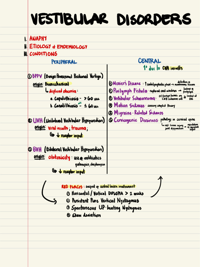 Understanding Vestibular Disorders | PDF | Vertigo | Vestibular System