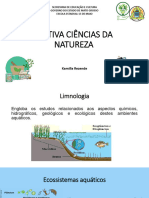 Eletiva Ciências Da Natureza: Kamilla Rezende