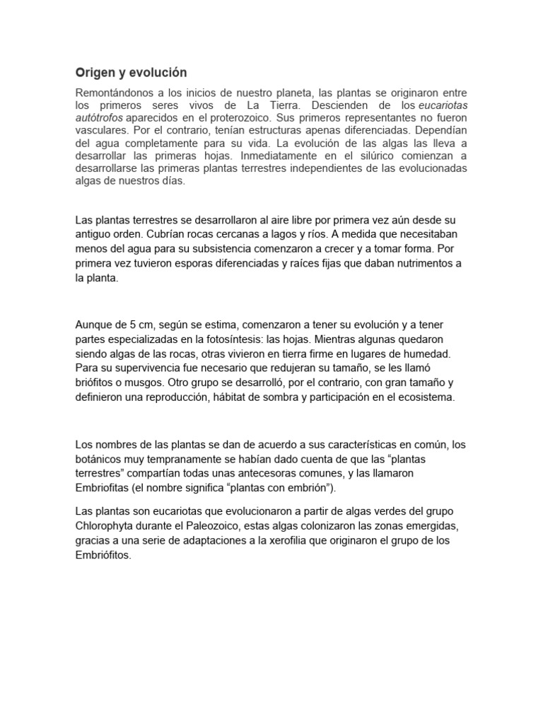 Origen y Evolución de Las Plantas | PDF | Plantas | Algas
