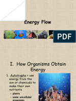 Energy Flow