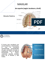 Anatomia Paraprotesica 2022