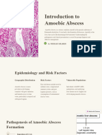 Introduction To Amoebic Abscess