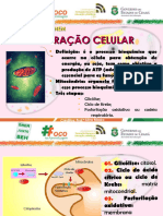 Cards Biologia.03