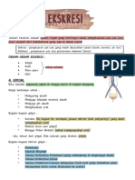 IPA - Sistem Ekskresi