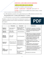 8_replication_de_ladn_chez_les_eucaryotes