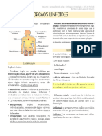 resumo - orgaos linfoides