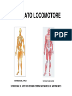 Apparato Locomotore 2 Fisiokinesiterapia