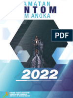 Kecamatan Kintom Dalam Angka 2022