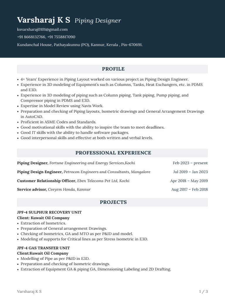 Piping Design Engineer Profile | PDF