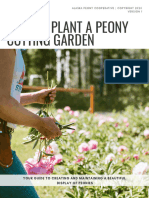 Planting A Peony Cutting Garden