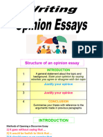 Opinion Essay