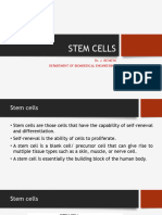 3.1 Stem Cells and Its Types