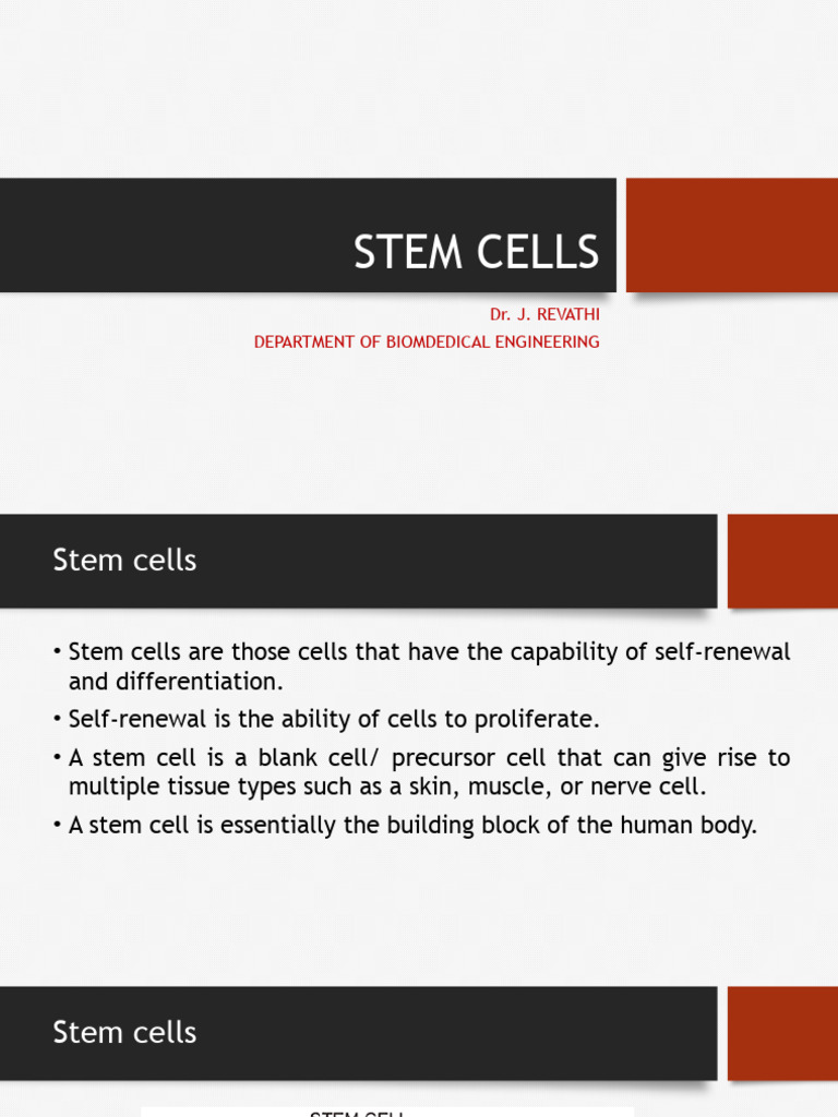 Understanding Stem Cells and Their Types | PDF | Cell Potency | Stem Cell