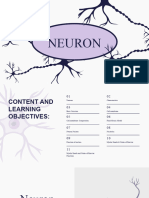 Neuron Presentation