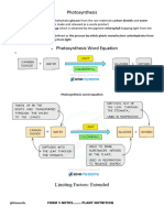 Plant Nutrition Notes