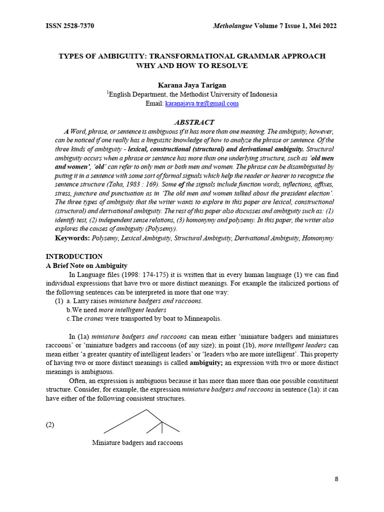 Types of Ambiguity in Language Analysis | PDF | Ambiguity | Phrase