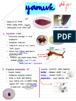 Identifikasi Nyamuk