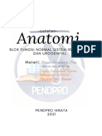 Catkul Anatomi Reproduksi Pendpro Hirata