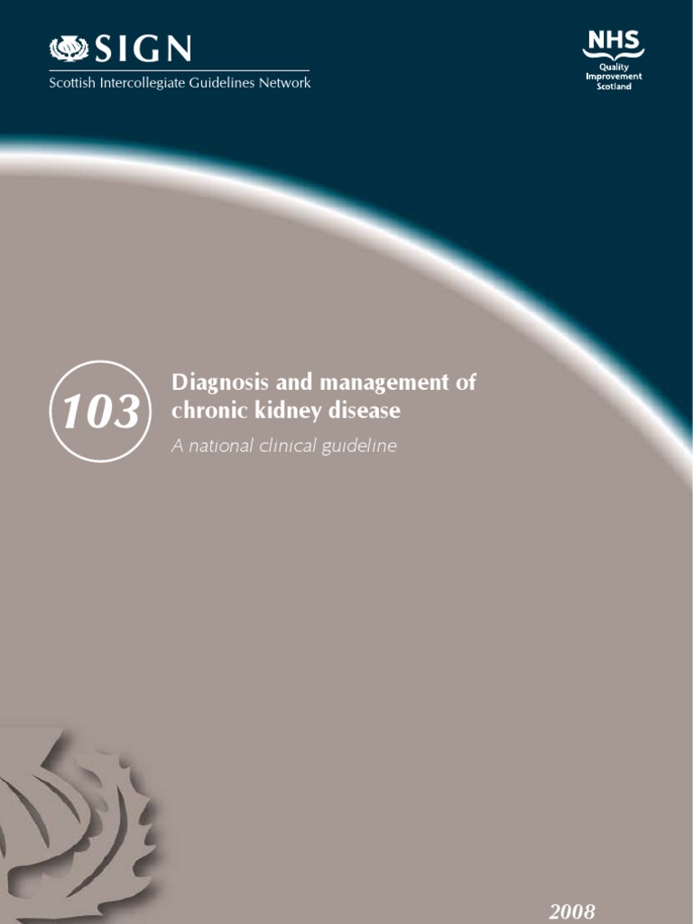 CKD Treatment Guidelines | PDF