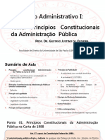 PONTO 03 - Princípios Da Administração Pública VF (12.02.2019)
