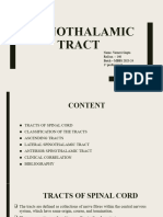 Spinothalamic Tract Copy Varnavi