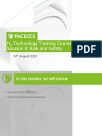 H2 Technologies TC - Pace. Session 8. Risk and Safety (Day 3)