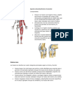 Aparato Osteomioarticular o Locomotor