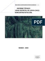 Informe Tecnico Municipalidad Distrital de Lonya Chico