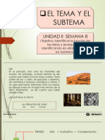 Semana 8 2023 20 Tema y Subtema