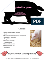 Rujetul La Porc