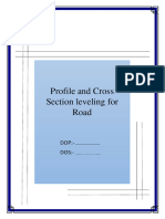 SVY Profile Cross Section New