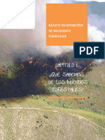 Capítulo - 1. Introducción A Los Incendios