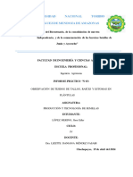 Informe Nº03