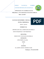 Informe Nº02