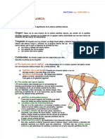 PDF Arteria Oftalmica - Compress