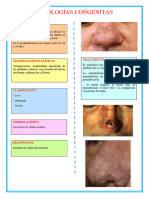 Patologías Congénitas y Traumáticas de La Nariz