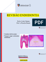 Revisão Endodontia