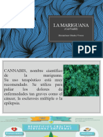 La Mariguana