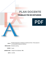 Plan Docente Tfe