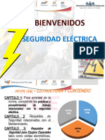 Cap - Seguridad Electrica.