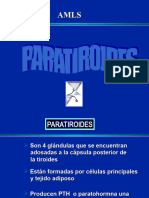 Paratiroides, Modulo de Endocrinologia, Medicina Inrterna.